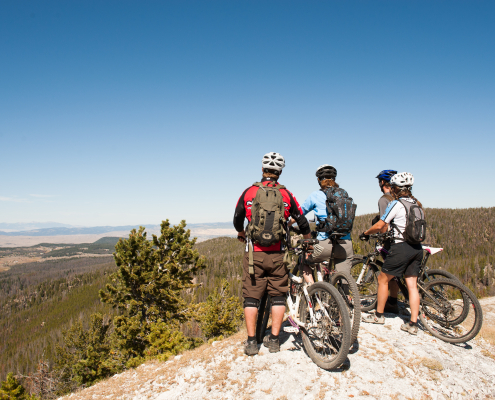 Mountain bikers near Butte